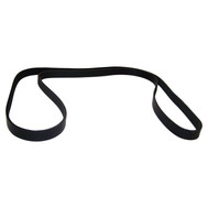Accessory Drive Belt (BKMN-5037542AA)