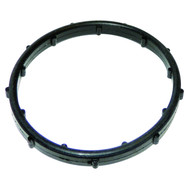 Thermostat Seal