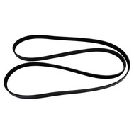 Accessory Drive Belt (BKMN-53032857AB)