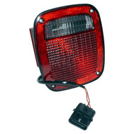 Tail Light (BKMN-56016721)