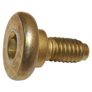 Brake Caliper Screw