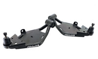 Lower Strong Arms, Front (CNTV-12061499)