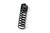 Coil Spring Set (BLDV-BDS032802)