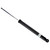 Shock (BBGL-19-140032)