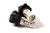 Diode Dynamics LED Bulbs (GBFG-DD0156P)