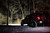 Diode Dynamics Offroad (GBFG-DD6027)