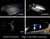 Diode Dynamics LED Bulbs (GBFG-DD0280)