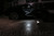 Diode Dynamics LED Bulbs (GBFG-DD0355)