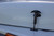 Hood Safety Catch (DFWH-50401)