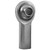 PCY Series Rod End (BJGM-PCYFR6T)