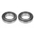 Differential Bearing Set