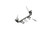 Tow Bar Bracket (FDRW-BX2625)