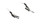 Tow Bar Bracket (FDRW-BX3794)