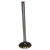 Exhaust Valve (BKMN-33002429)