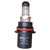 Bulb (BKMN-4388238)