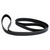 Accessory Drive Belt (BKMN-4627167AA)