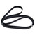 Accessory Drive Belt (BKMN-4796033)
