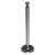 Intake Valve (BKMN-637182)