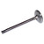 Intake Valve (BKMN-J3218732)