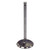 Intake Valve (BKMN-J3242659)