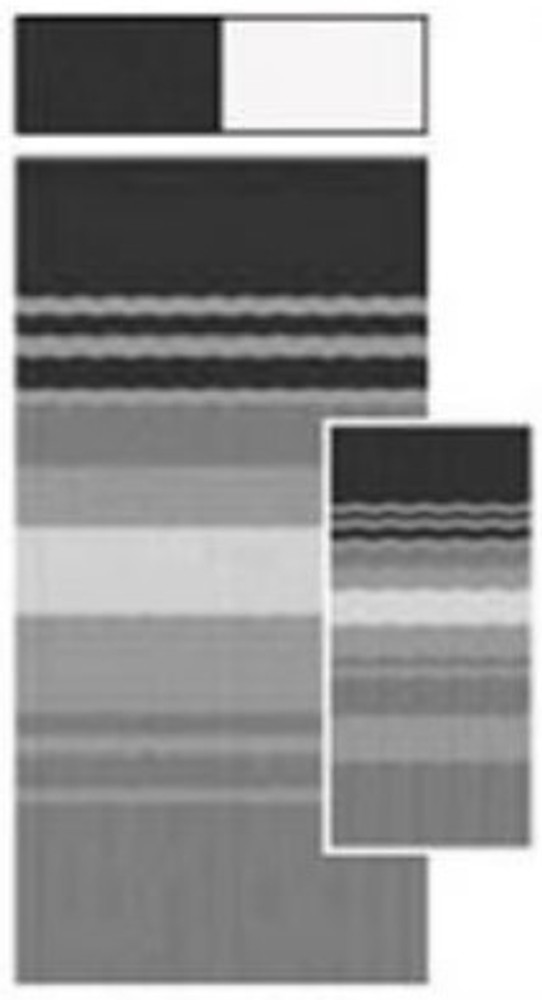 Carefree RV JU158D00 Awning Canopy Replacement Fabric -15' - Black / Gray Dune Stripe Vinyl - No LED