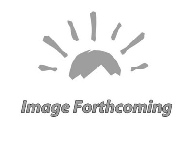 Carefree RV R019886-008 Latitude Screw Pack, 1/4 x 2" Lag - Black