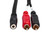 Hosa Technology CFR-210 Stereo Breakout, 3.5 mm TRSF to Dual RCA, 10 Foot Cable UP CLOSE