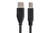 Hosa Technology USB-205AB  High Speed USB Cable, 5 Foot top