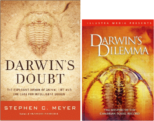 Darwin's Doubt & Darwin's Dilemma Book & DVD Set