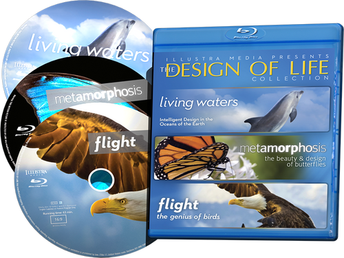 Design of Life Collection 3-Blu-ray Set