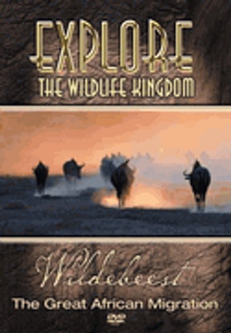 Explore Wildlife Kingdom: Wildebeest DVD