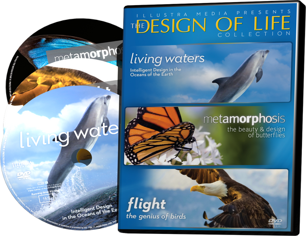 Design of Life Collection 3-DVD Set