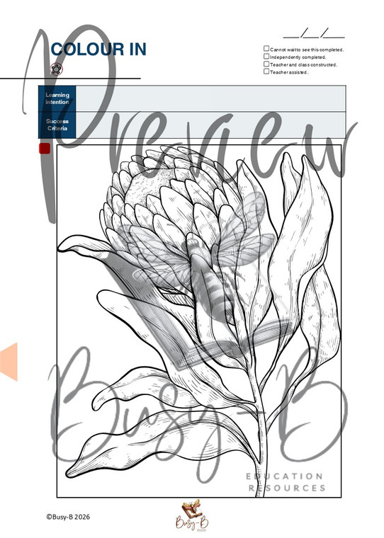 Floral Colour In