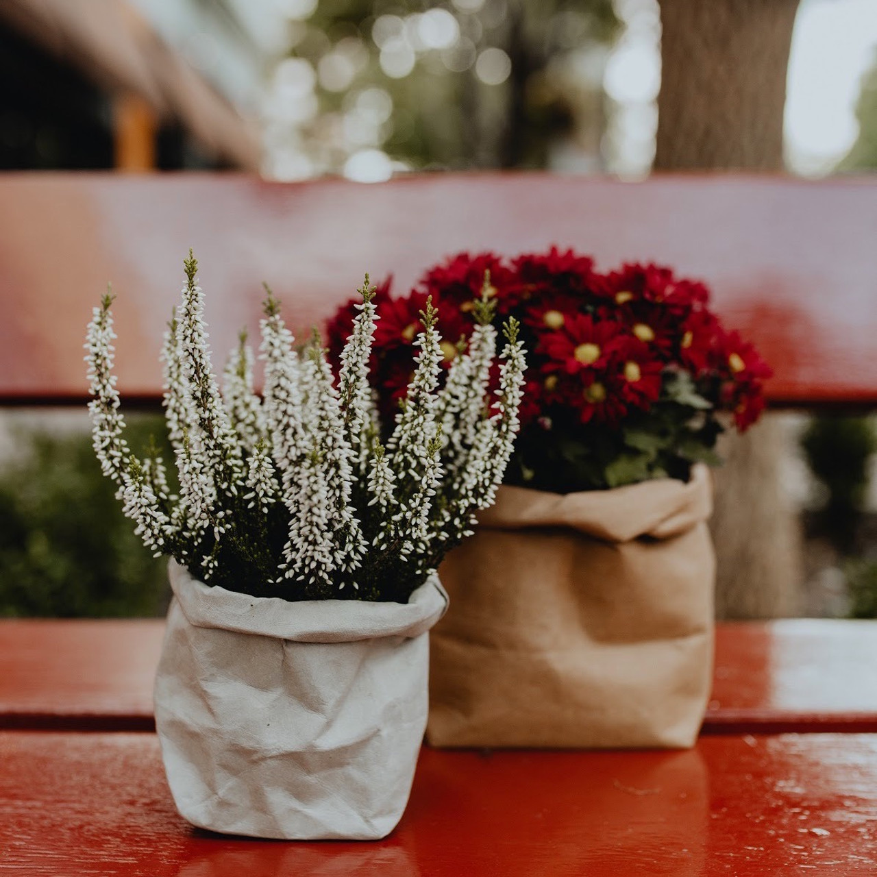 Pack of 50 Flower Bouquet Bags with Handle, Kraft Paper Flowers Gift Bags,  Brown Paper Flower Wrapping Bags for Flower Arrangement Florist Shop  Packaging Supplies - Eco Bags India