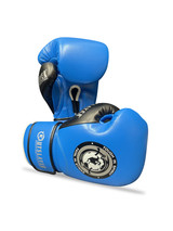 Outslayer ON1 Boxing Gloves - Blue