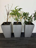 Grey Planters (8C2-EA2-9D3)