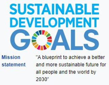 What are SDG's? (Sustainable Development Goals)