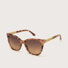 202 Rare Essence Shades