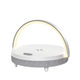 EzFlex C LYYD02 Speaker White