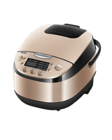 1.8L DIGITAL RICE COOKER (3.3MM) GOLD, RC-18DR1NMY