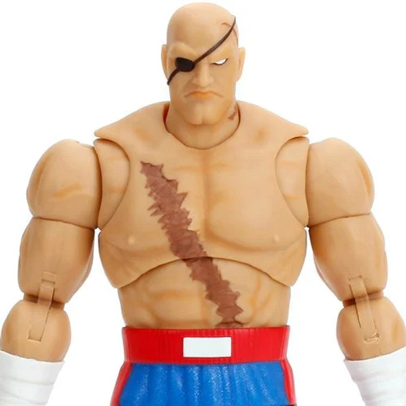 80's & 90's Todays Adult - Street Fighter - Page 1 - MF Toys