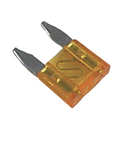 GENFS80030.jpg