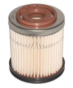 RACR11T.jpg
