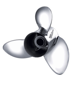 MW993054.jpg