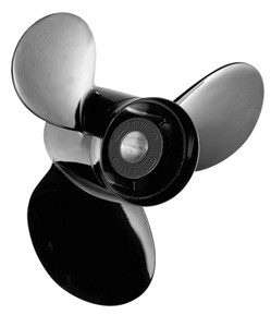 MW992302.jpg