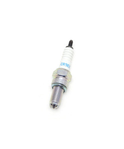 NGKCR9EK.jpg