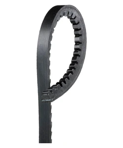 GAT7325.jpg
