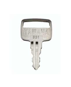 YAM90890-56019-00.jpg