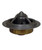 CHY3514177.jpg