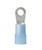 ANC210244.jpg